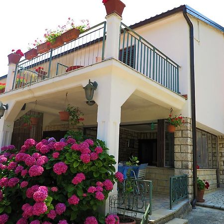 Villa Matohanca Rovinj Dış mekan fotoğraf