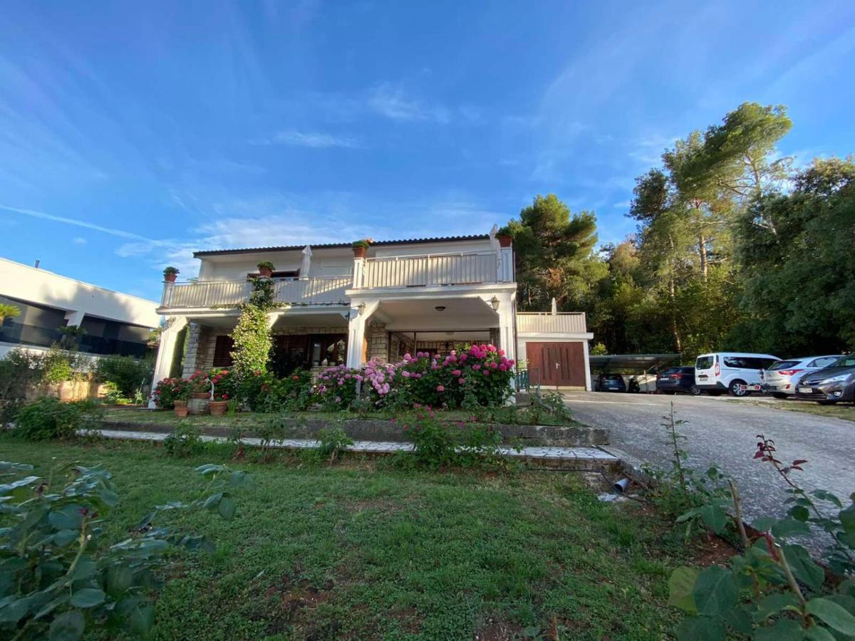 Villa Matohanca Rovinj Dış mekan fotoğraf